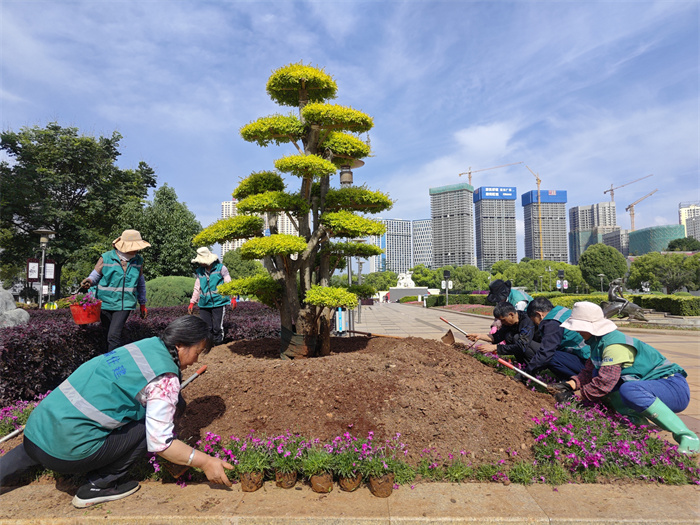 珠江源广场麟青友好建设附近提升景观效果 (7).jpg